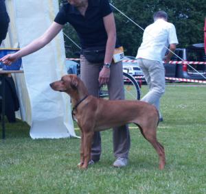 Hochgeladene Bilddatei