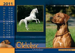 Hochgeladene Bilddatei