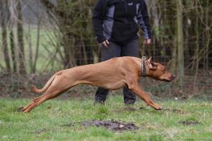 Hochgeladene Bilddatei