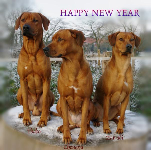 Hochgeladene Bilddatei