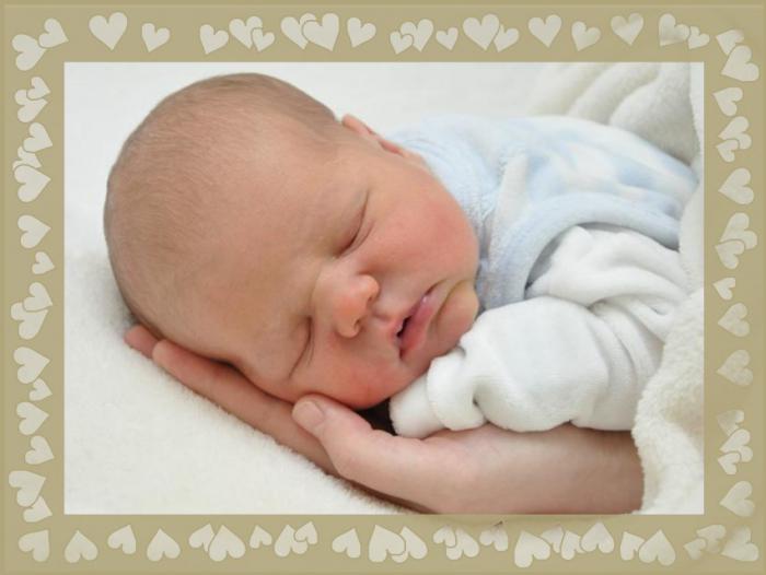 Hochgeladene Bilddatei