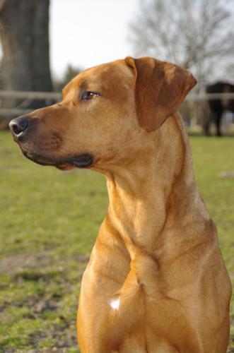 Hochgeladene Bilddatei