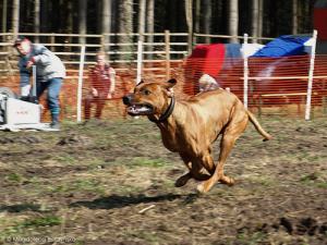 Hochgeladene Bilddatei