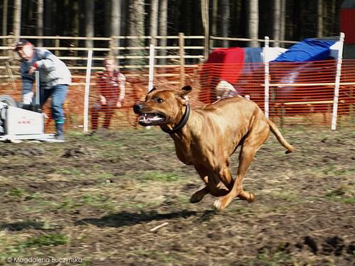Hochgeladene Bilddatei