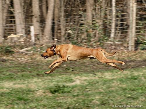 Hochgeladene Bilddatei