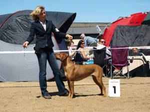 Hochgeladene Bilddatei