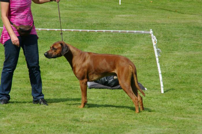 Hochgeladene Bilddatei