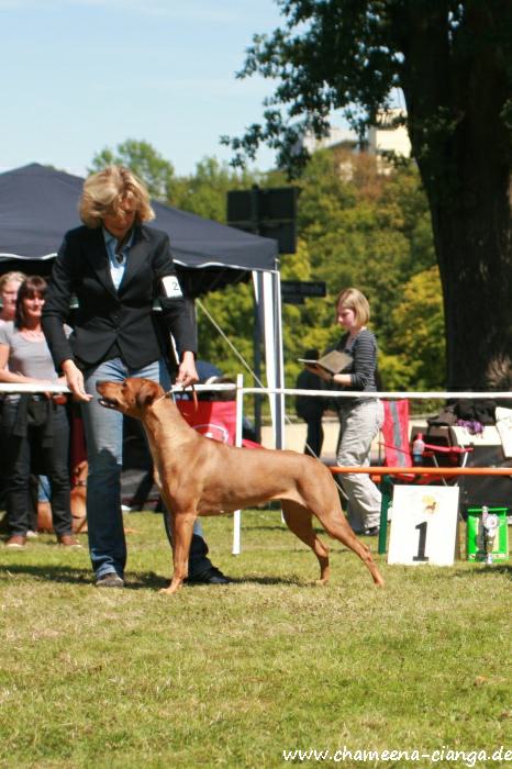 Hochgeladene Bilddatei