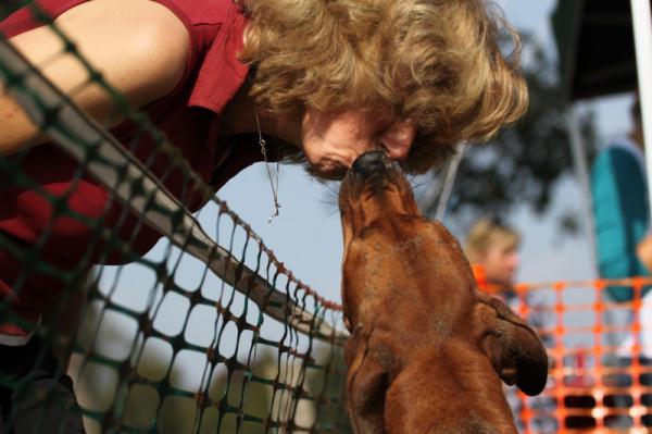 Hochgeladene Bilddatei