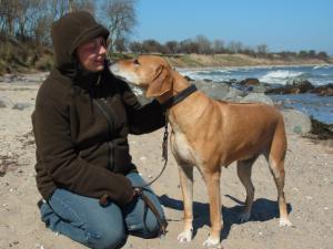 Hochgeladene Bilddatei