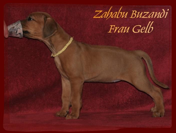 Hochgeladene Bilddatei