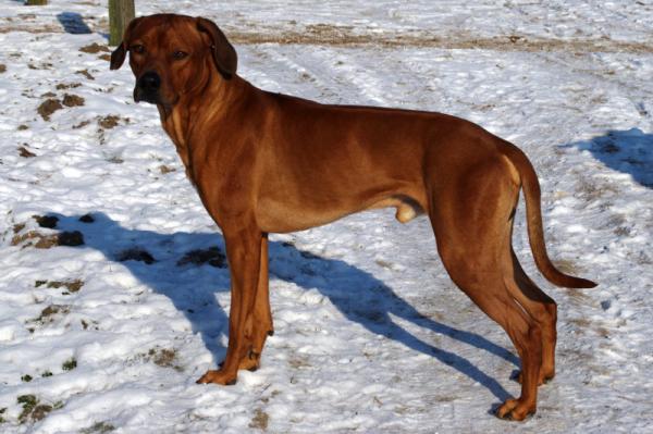 Hochgeladene Bilddatei