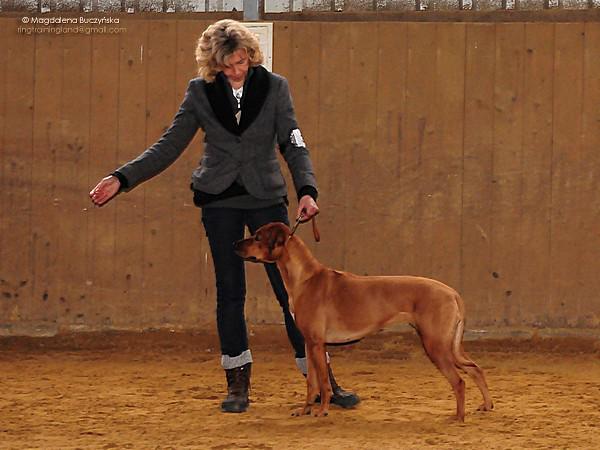 Hochgeladene Bilddatei