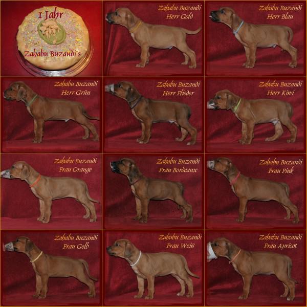 Hochgeladene Bilddatei