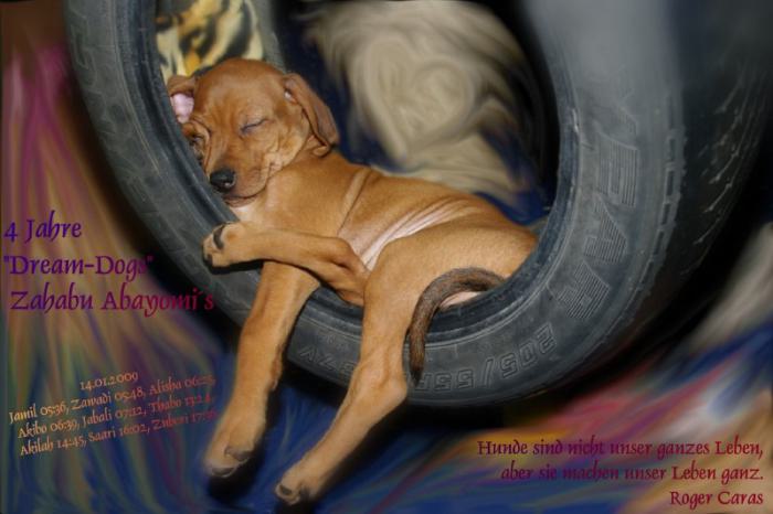 Hochgeladene Bilddatei