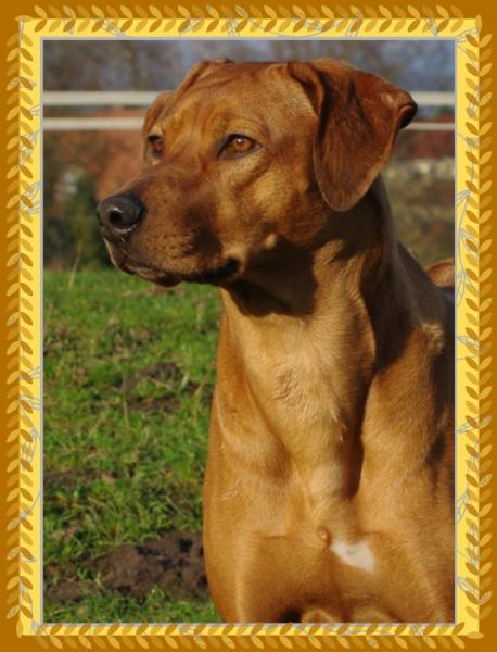 Hochgeladene Bilddatei