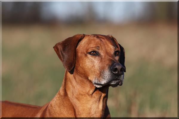 Hochgeladene Bilddatei