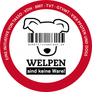 Hochgeladene Bilddatei
