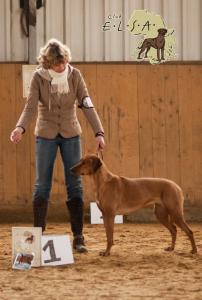 Hochgeladene Bilddatei