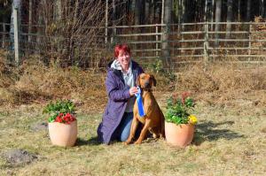 Hochgeladene Bilddatei