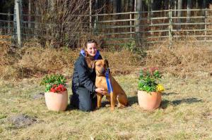 Hochgeladene Bilddatei