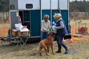 Hochgeladene Bilddatei