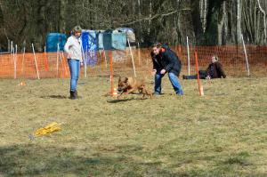 Hochgeladene Bilddatei