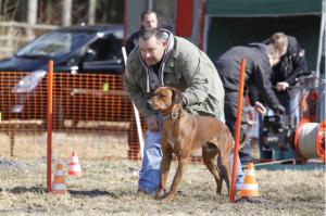 Hochgeladene Bilddatei