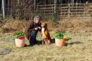 Hochgeladene Bilddatei