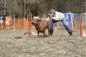 Hochgeladene Bilddatei
