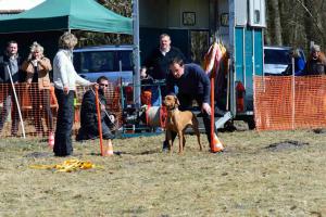 Hochgeladene Bilddatei