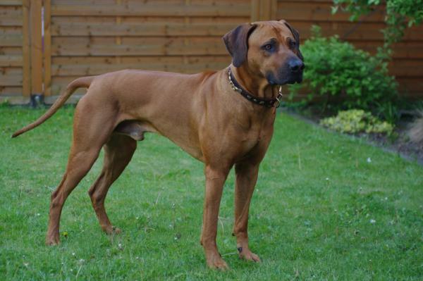 Hochgeladene Bilddatei