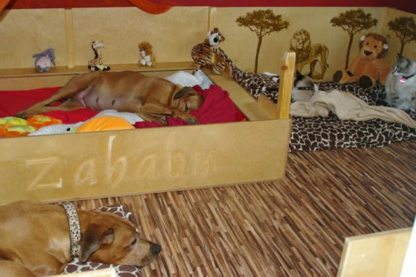 Hochgeladene Bilddatei